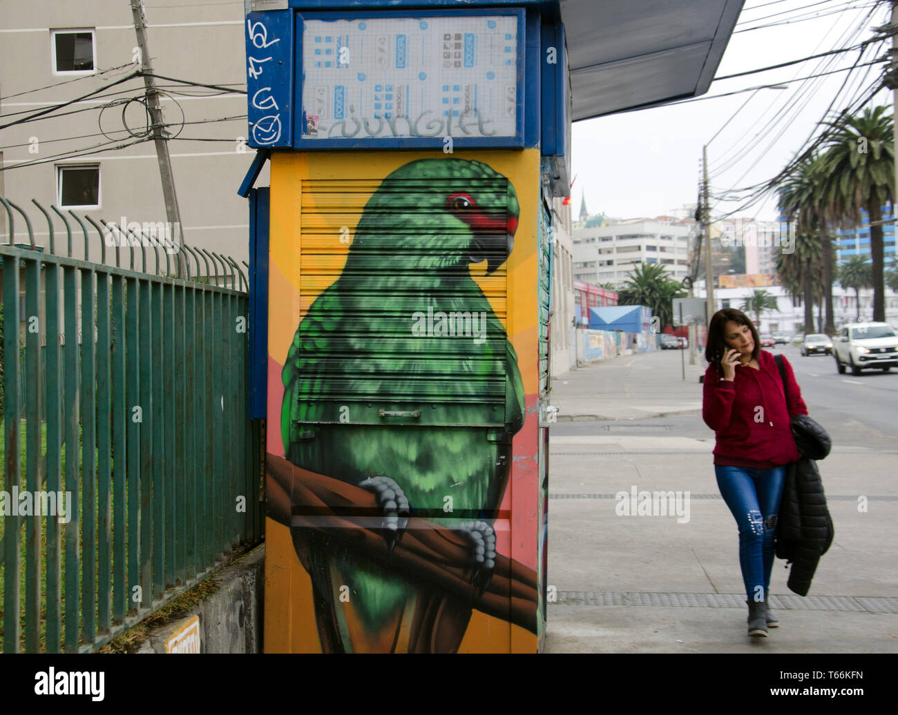 A bus shelter in the portside avenue in Valparaiso, Chile, cheerfully adorned with a large green parrot Stock Photo