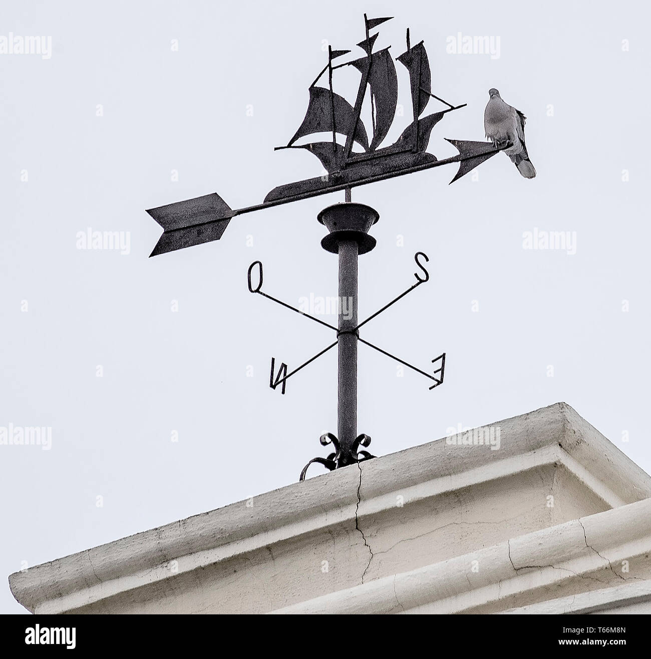 Weather vane weathervane which direction north south east west hires