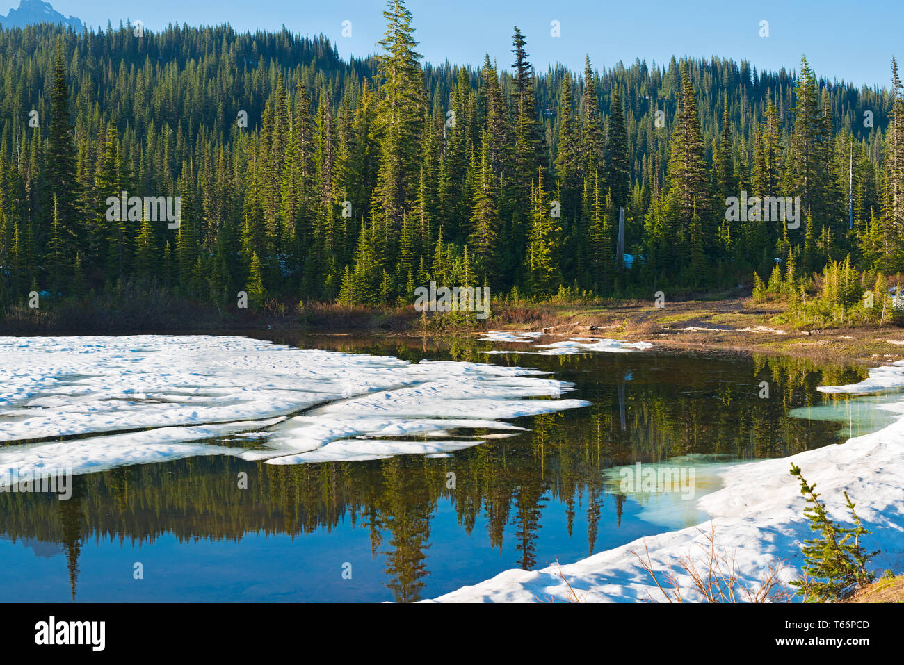 Reflection Lake at Mount Rainier National Park, Washington State, USA Stock Photo