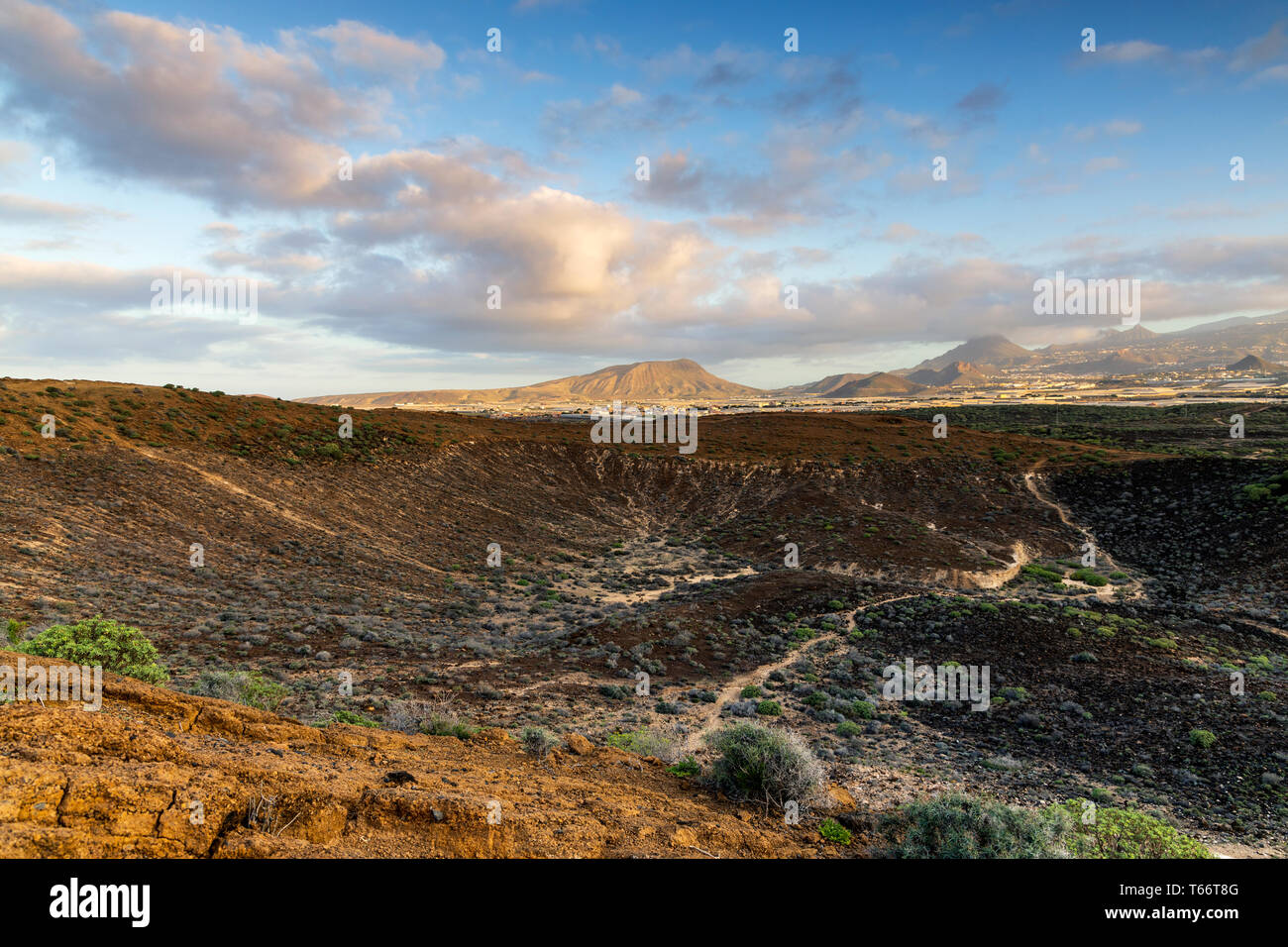 Crater of Montana Amarilla, yellow mountain at dawn, Tenerife, Canary Islands, Spain Stock Photo