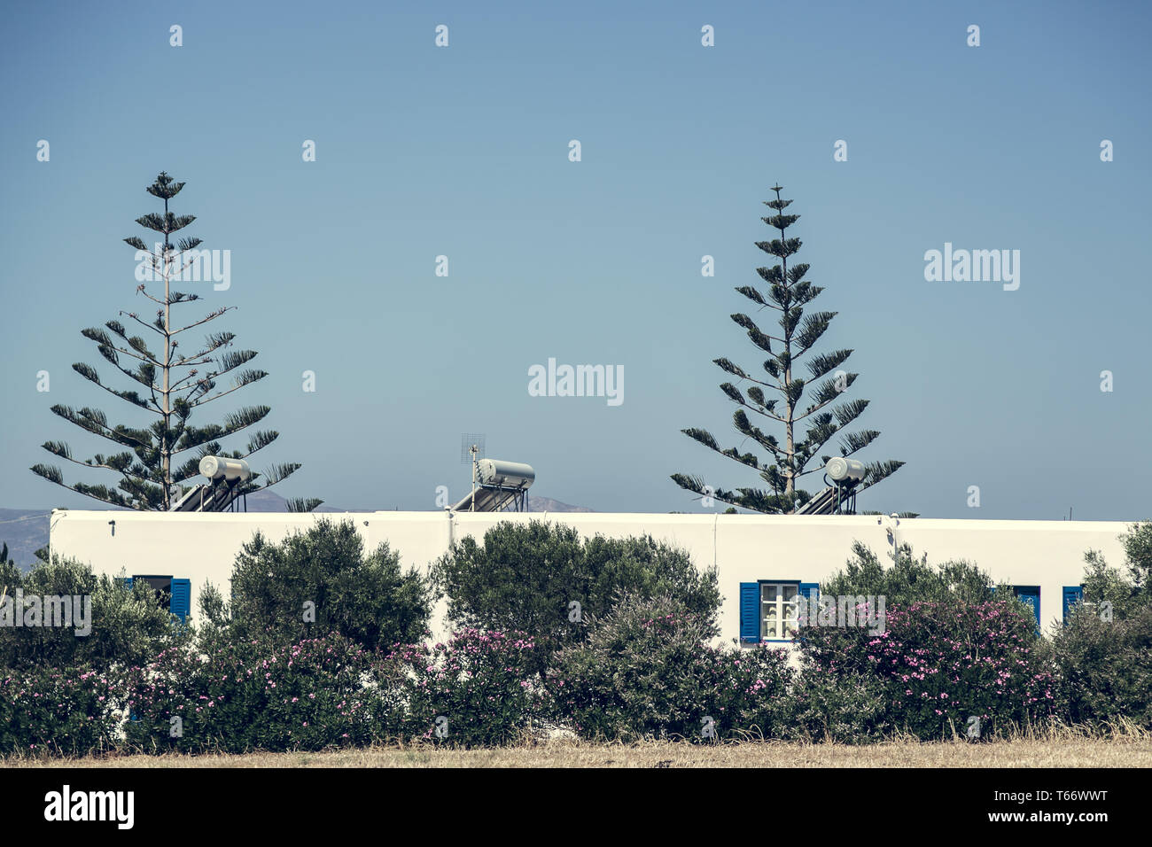White house behind trees hi-res stock photography and images - Alamy