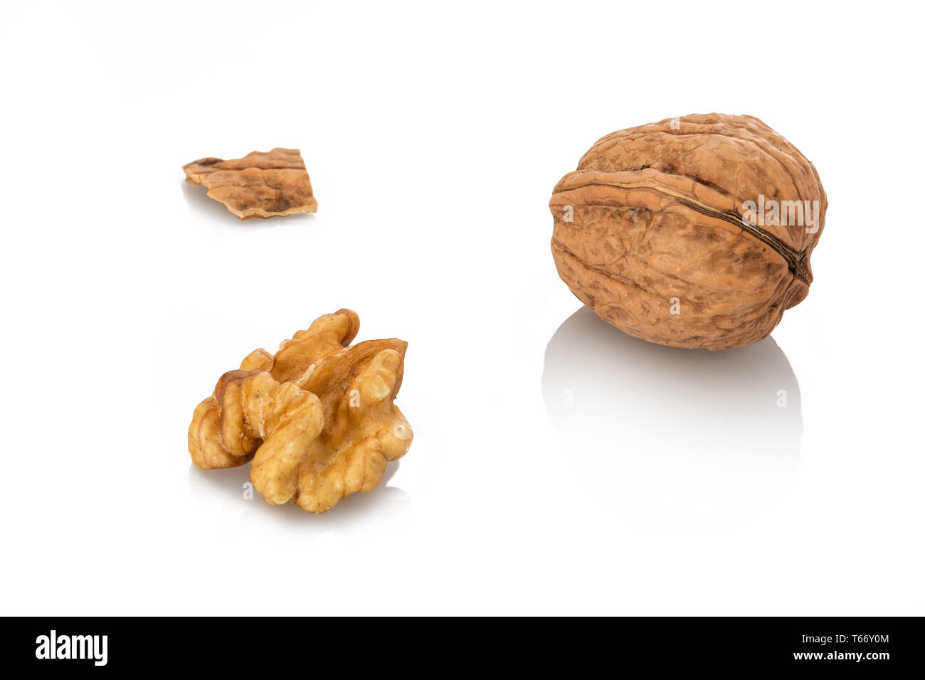 Walnut nut with nutshell close-up white isolated Stock Photo