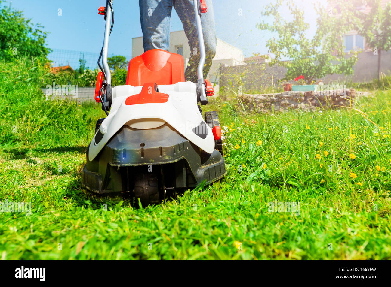 Lawn mower man using walkbehind electricity powered lawnmower cutting