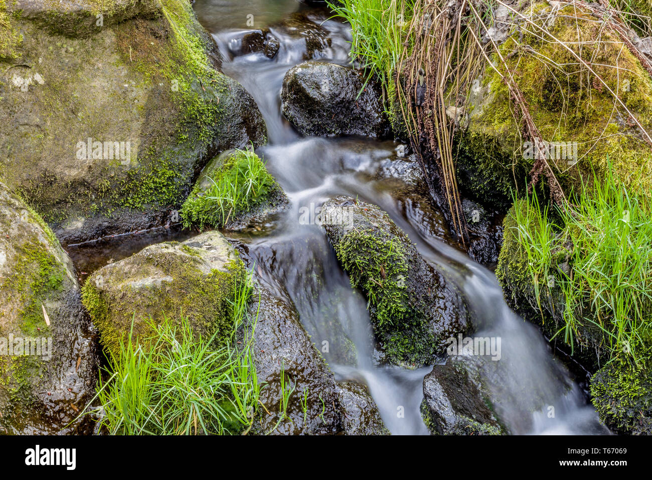 Falls on the small mountain river in a wood Stock Photo - Alamy