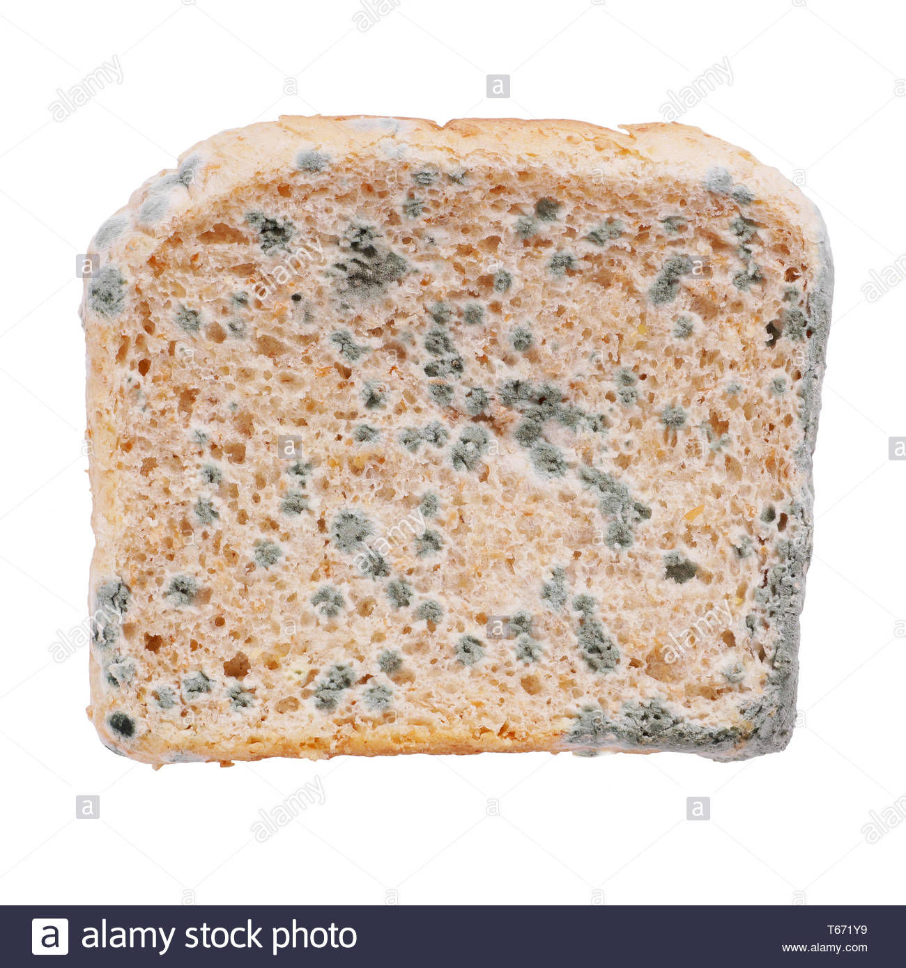 Moldy Bread High Resolution Stock Photography and Images Alamy