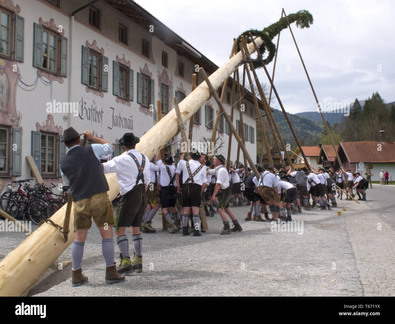 Setting up the Maipole, a bavarian tradition, Germany Stock Photo