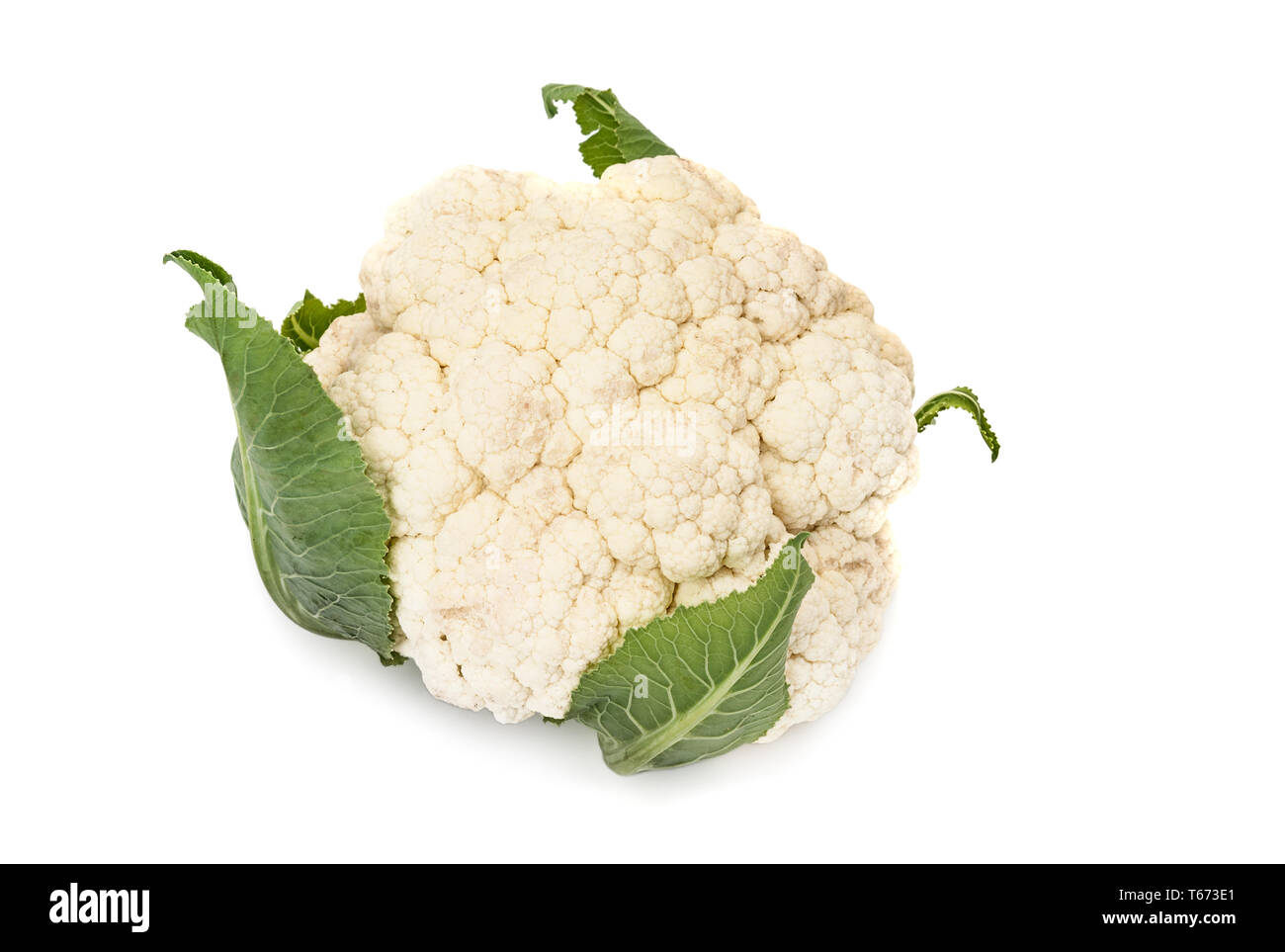 Cauliflower isolated on white background with clipping path Stock Photo