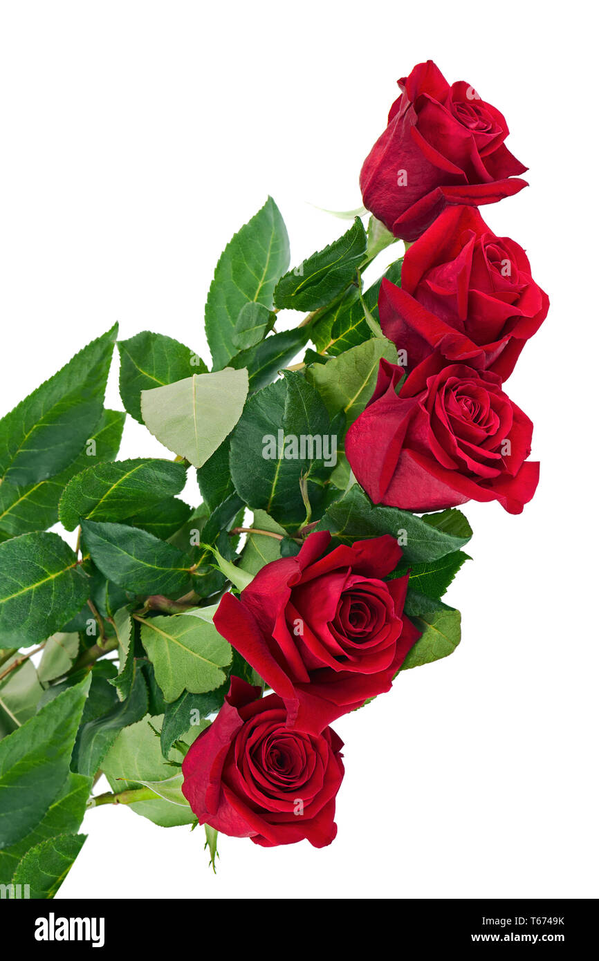 Flower Bouquet from Red Roses Isolated on White Background Stock Photo ...