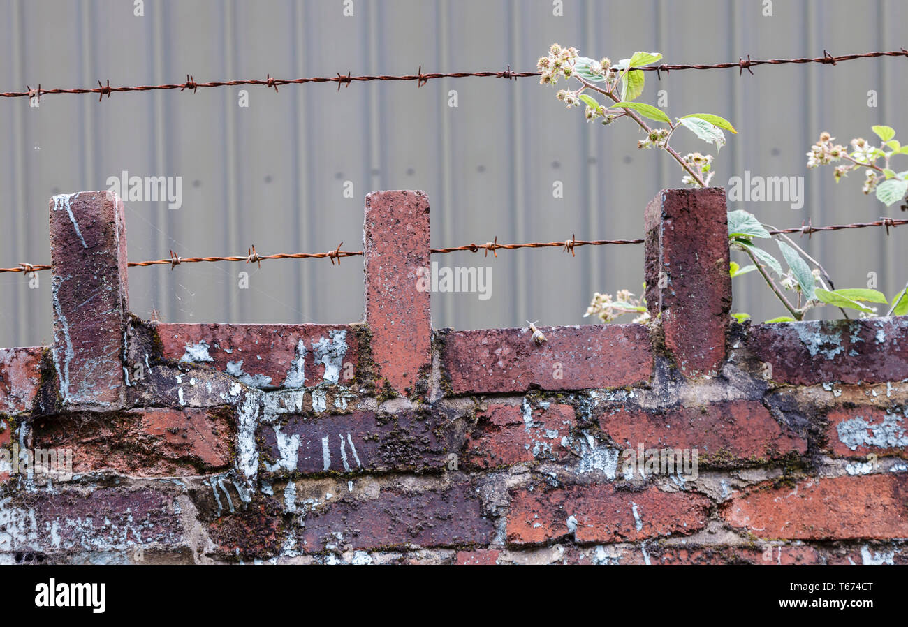 Barbed Wire Fence On Top Of A Brick Wall Stock Photo - Alamy