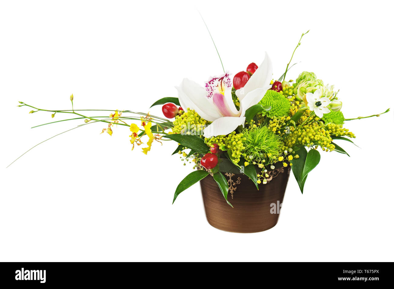 Dark purple orchids Cut Out Stock