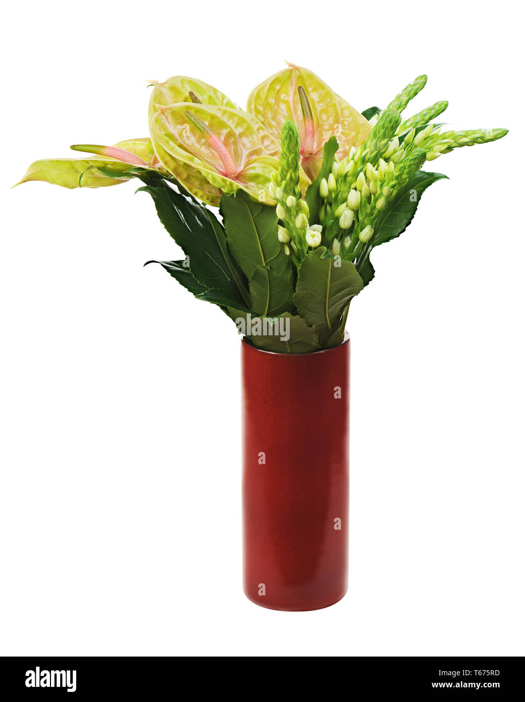 Red yellow and blue flowers in vase hi-res stock photography and images ...