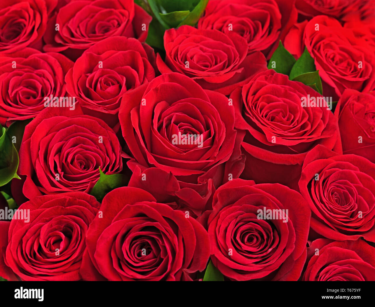 Colorful flower bouquet from red roses. Closeup Stock Photo - Alamy