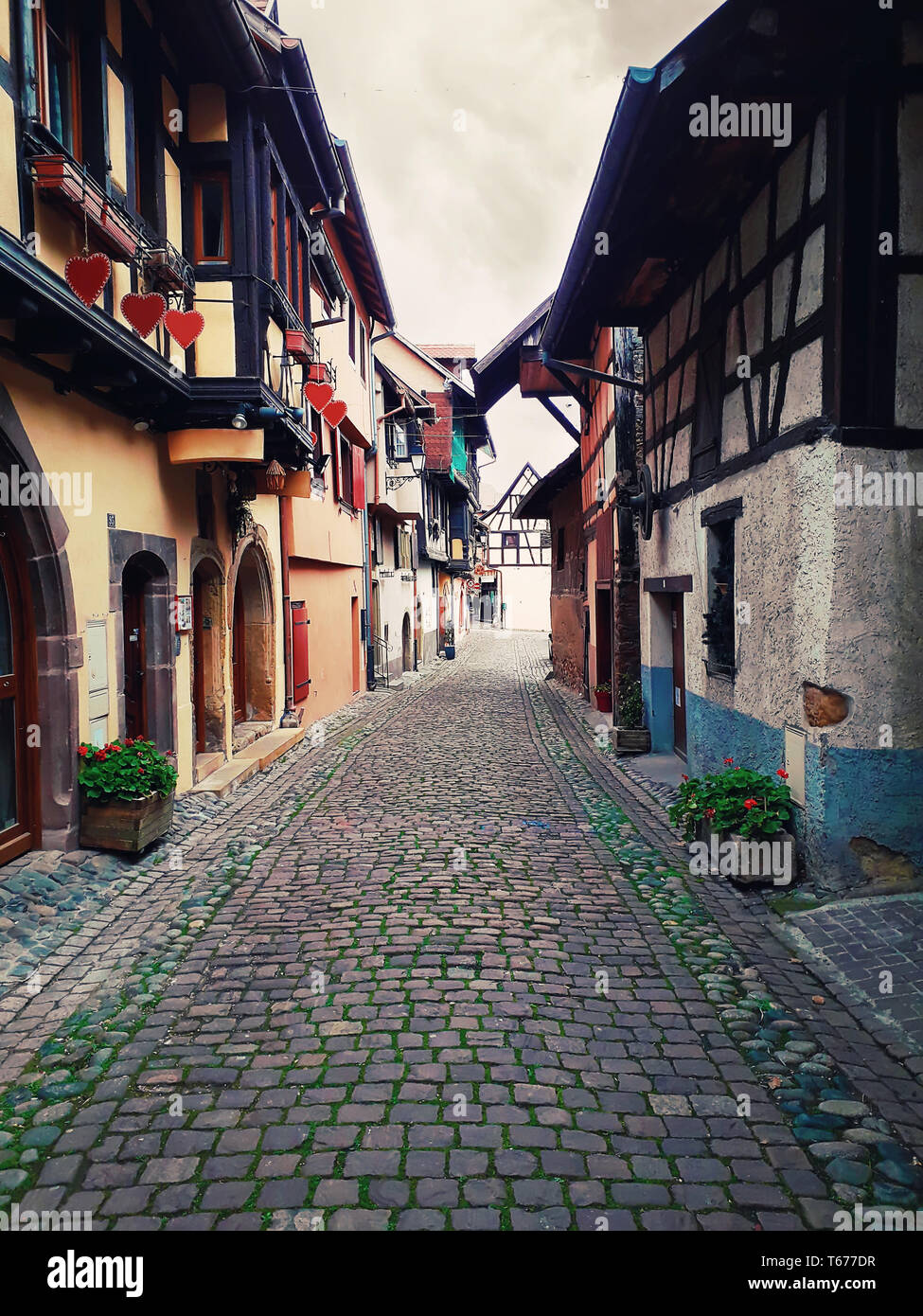 Narrow streets of the old Eguisheim village with half-timbered medieval houses along the famous wine route in Alsace, France. Stock Photo