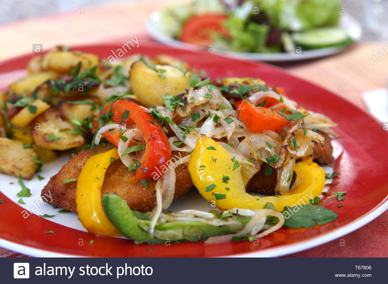 Schnitzel Germany Stock Photos Schnitzel Germany Stock Images