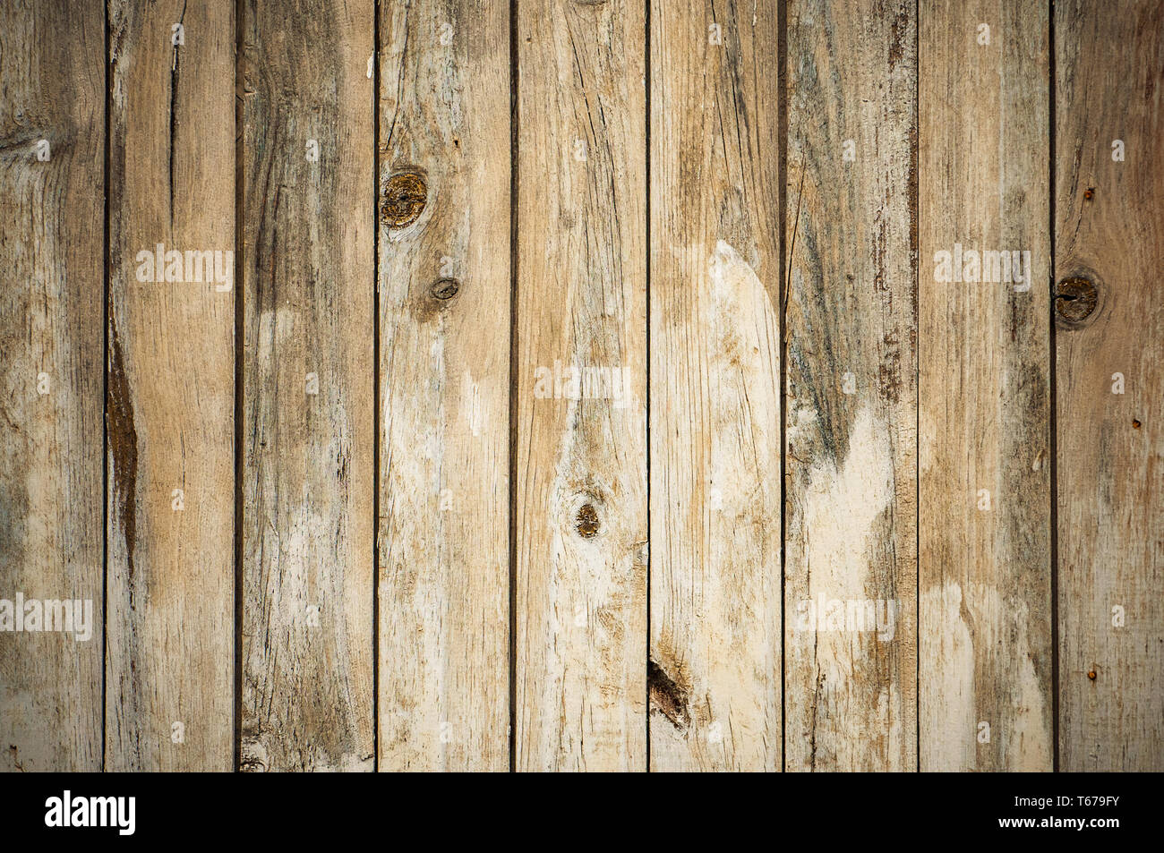 Old wood texture background, perfect natural pattern. Stock Photo
