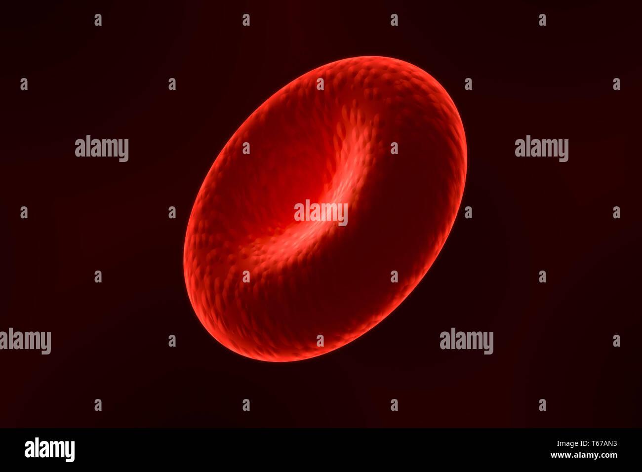 Close-up of a single red blood cell or corpuscle. 3d render illustration. Stock Photo