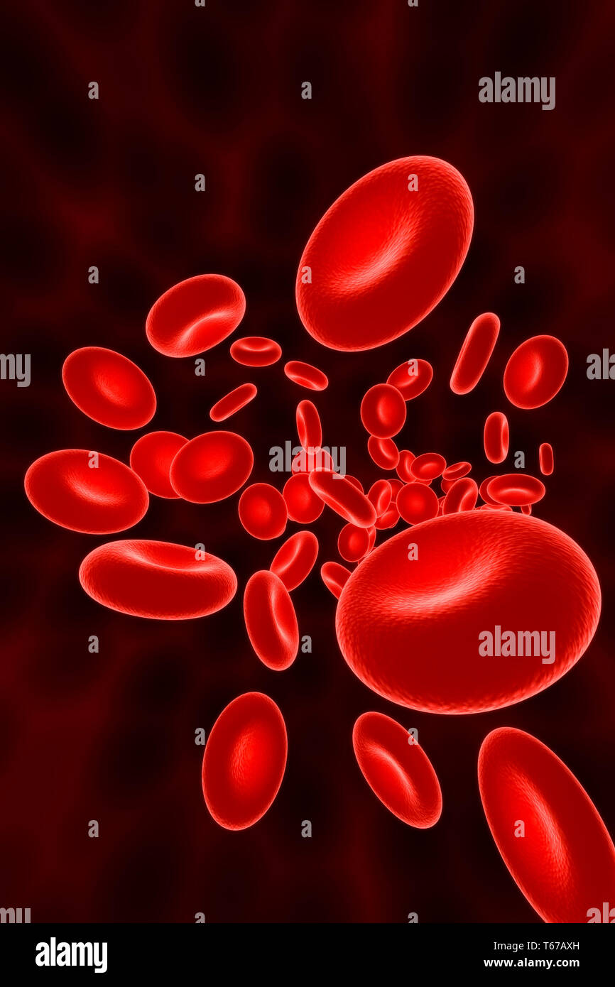 Group of red blood cells or corpuscles flowing. Red background with large copy space. Medicine and biology 3d render illustration concept. Stock Photo