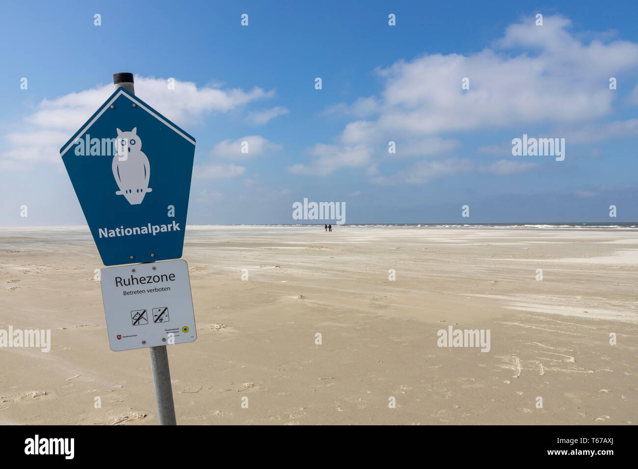 North Sea island Juist, East Frisia, nature reserve, in the Wadden Sea National Park, at the western end, Billriff, Lower Saxony, Germany, Stock Photo