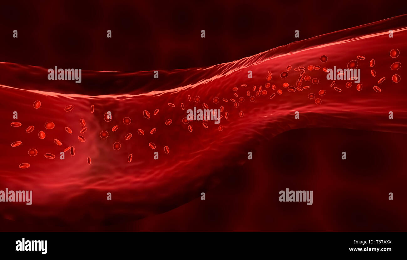 Red blood cells or corpuscles flowing through a vein. Medical and micro