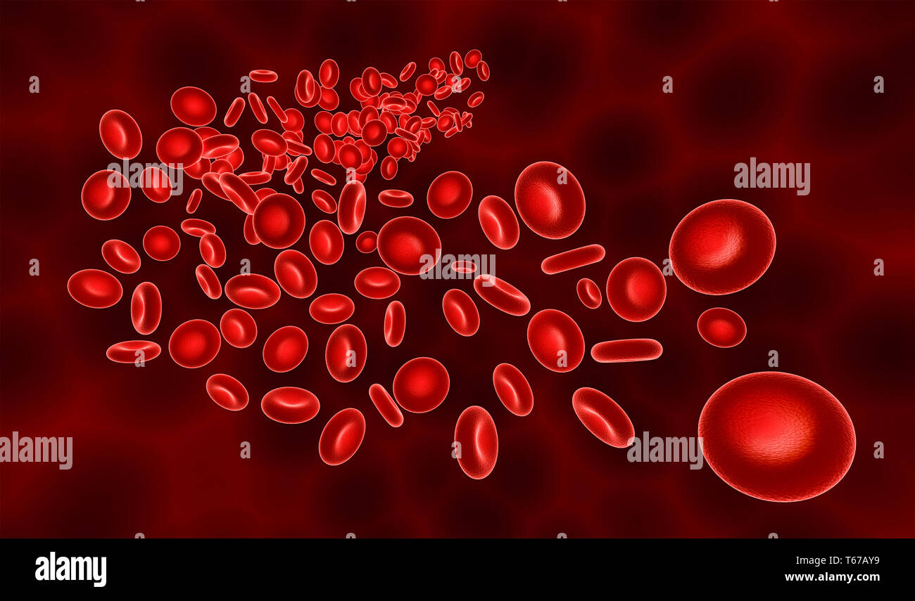 Many red blood cells or corpuscles flowing. Medicine and biology 3d render illustration. Stock Photo