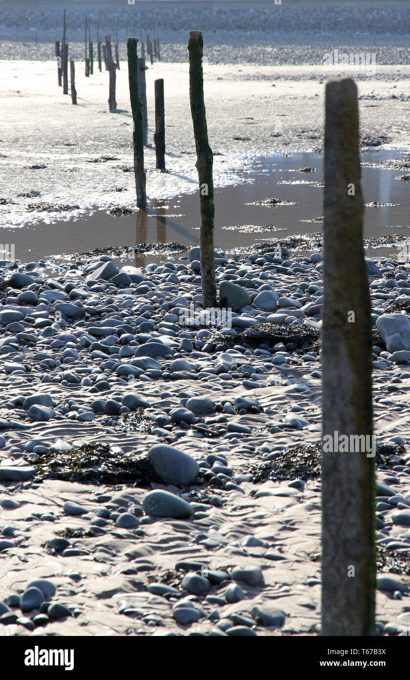 herring stake net posts Minehead Somerset Stock Photo