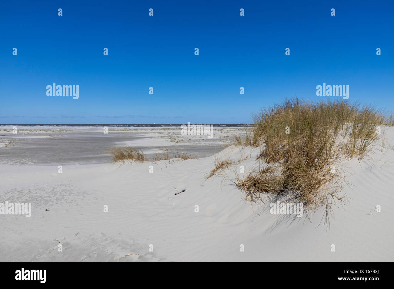 North Sea island of Juist, East Frisia, beach and dune landscape, at the eastern end of the island, Kalfamer nature protection area, Lower Saxony, Ger Stock Photo