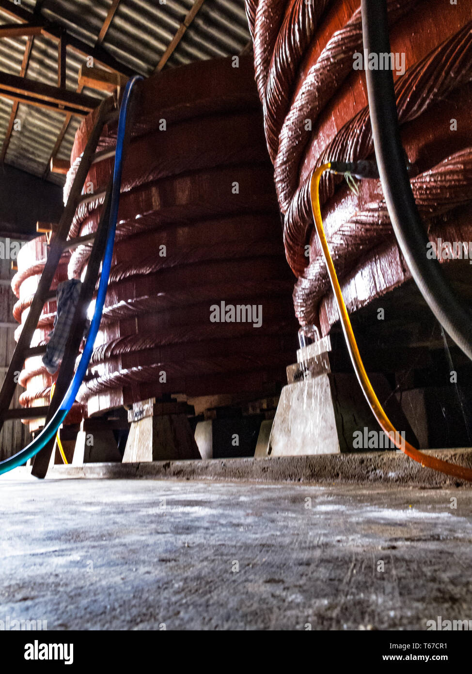 Closeup of processing plant barrels of fish sauce fermenting a year with hoses attached Stock Photo