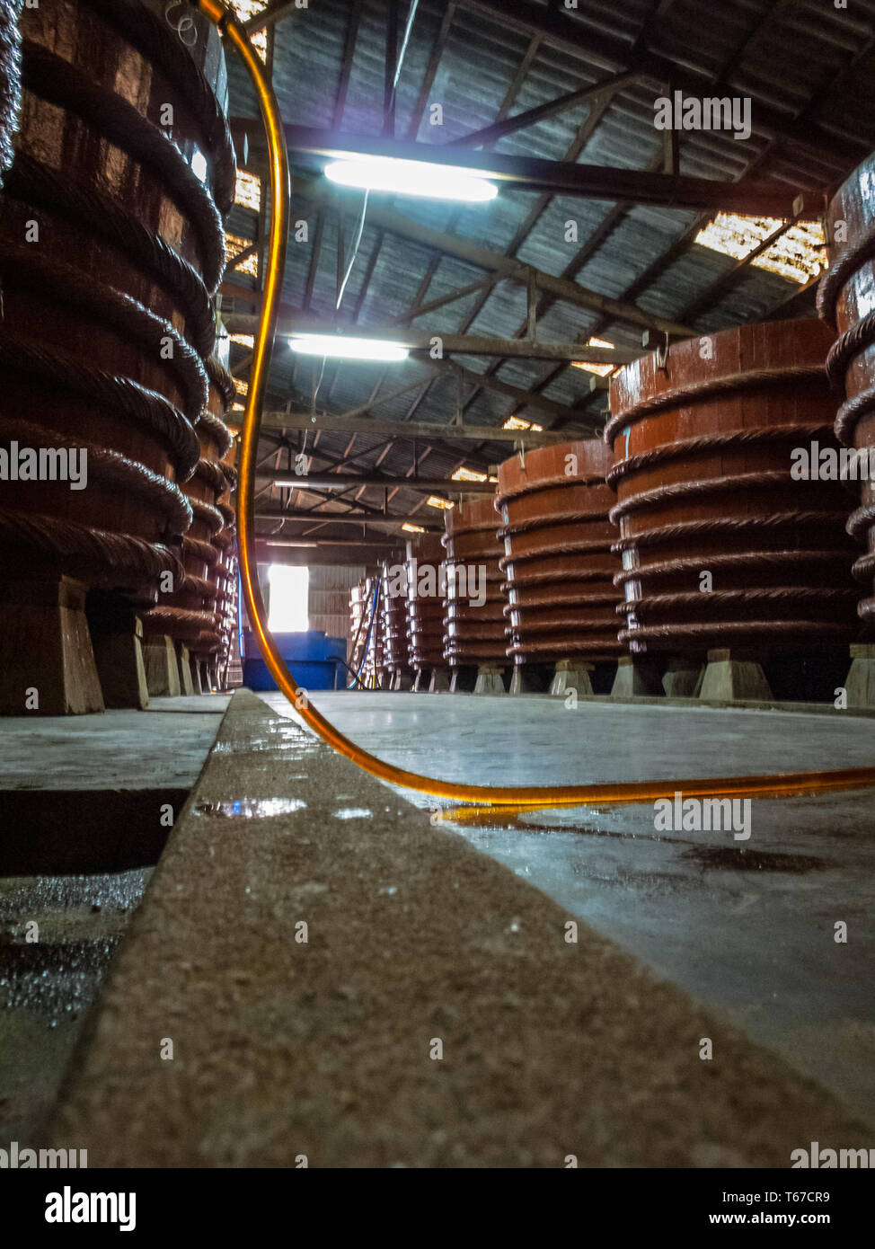 Closeup of processing plant barrels of fish sauce fermenting a year Stock Photo