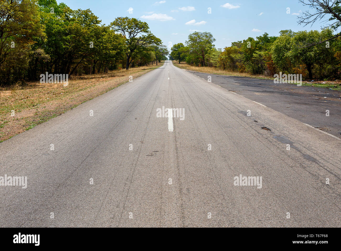 Roadkill On Endless Highway Of American >> Dead Straight Road Stock Photos Dead Straight Road Stock Images Roadkill On Endless Highway Of American >> Dead Straight Road Stock Photos Dead Straight Road Stock Images