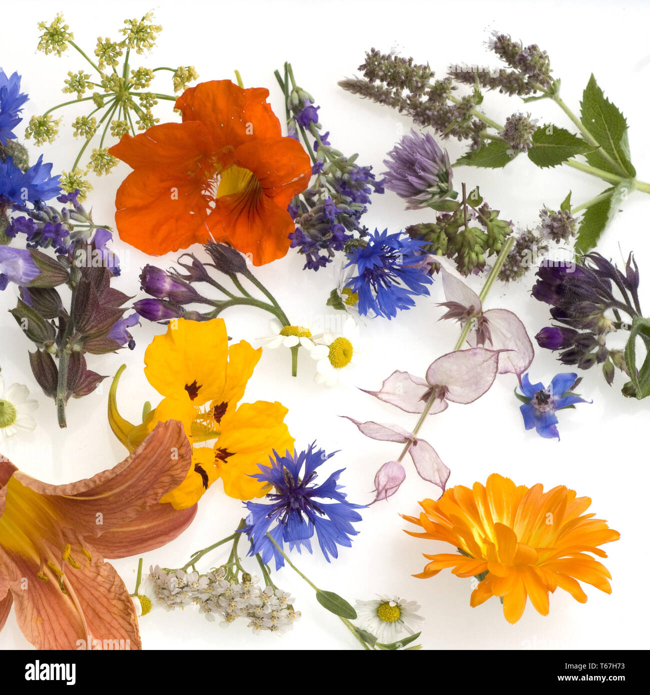 Edible summer meadow flowers Stock Photo Alamy