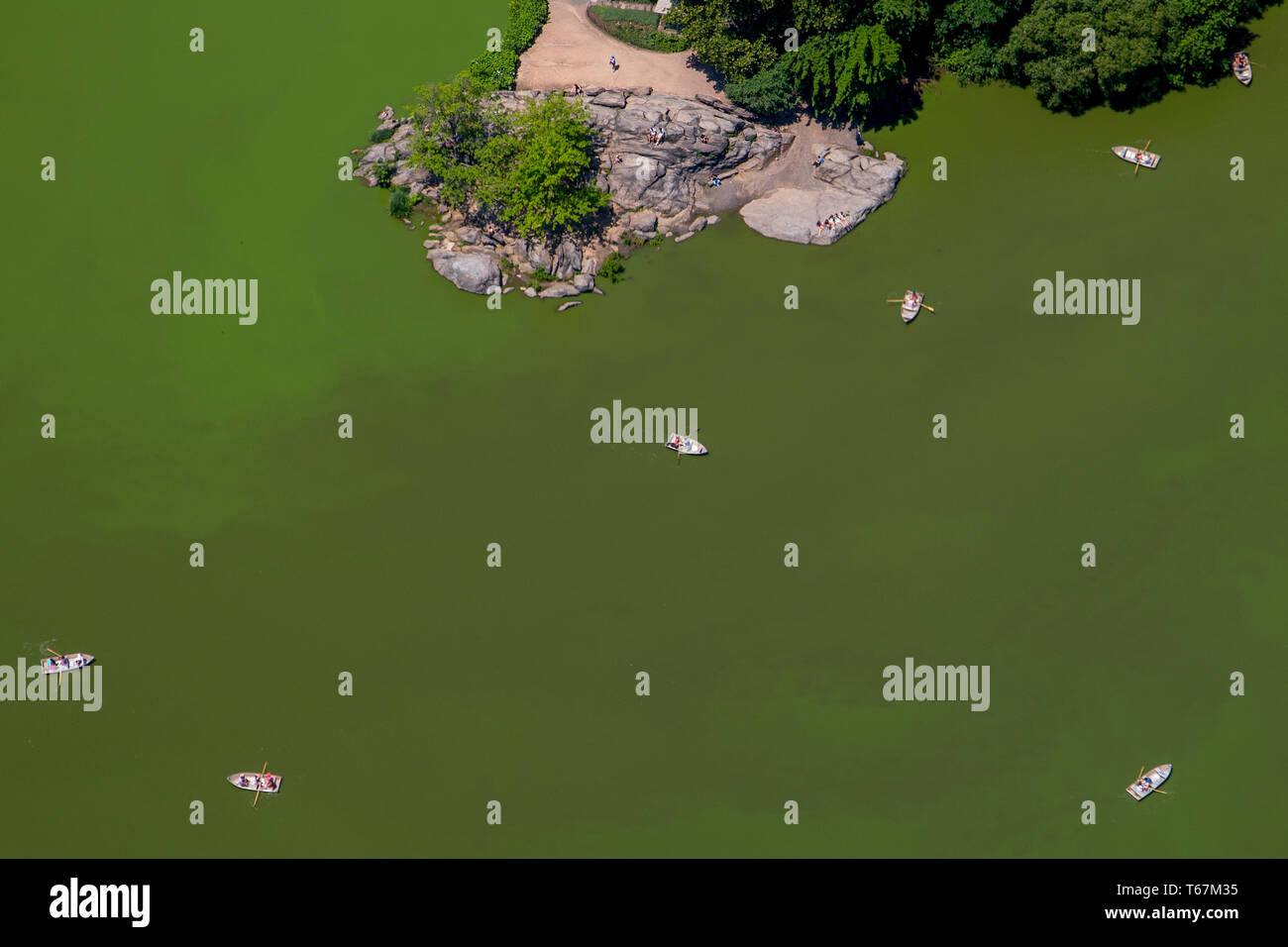 Rowboats on the Pond in Central Park on Manhattan Stock Photo Alamy