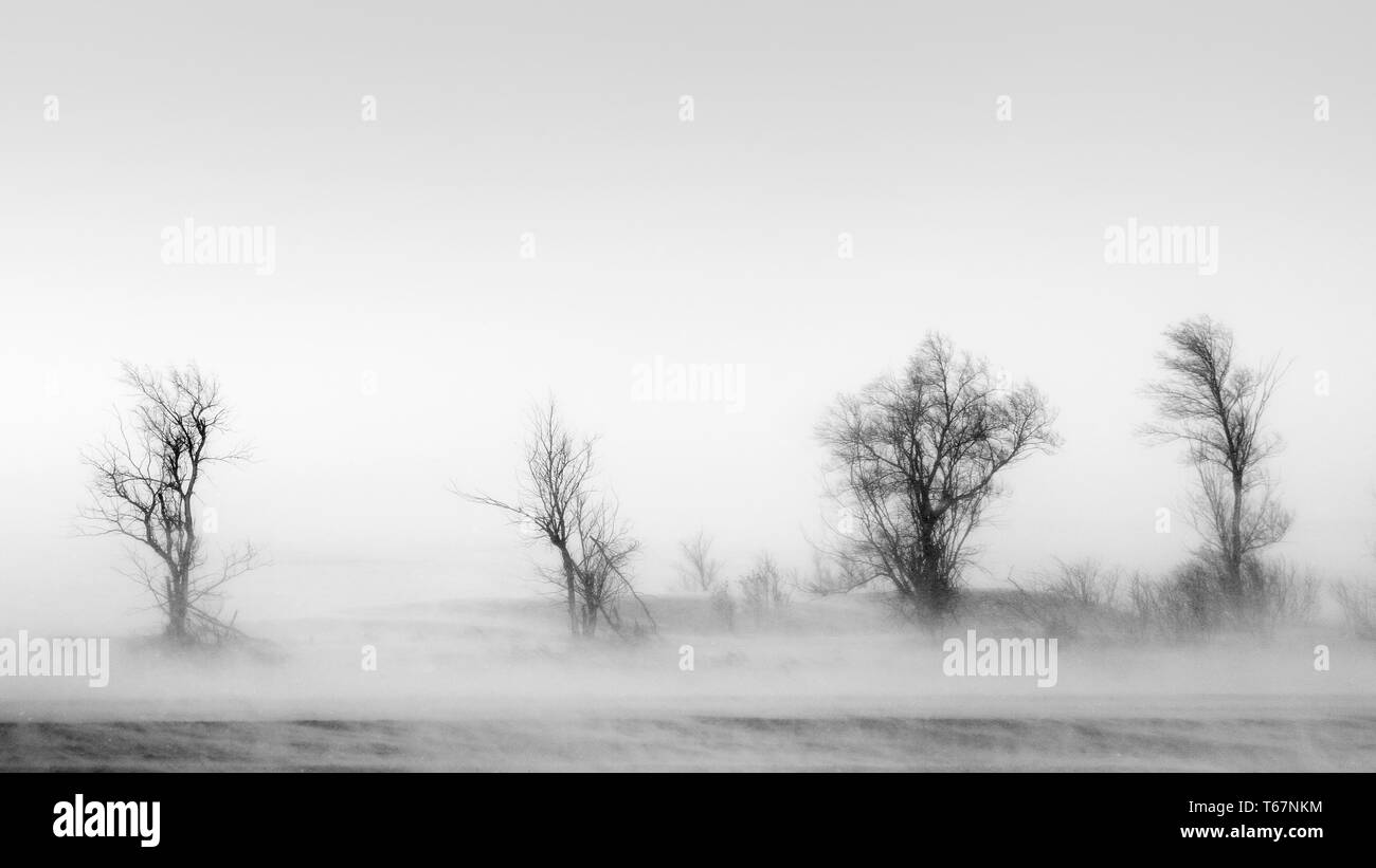 North dakota Black and White Stock Photos & Images Alamy