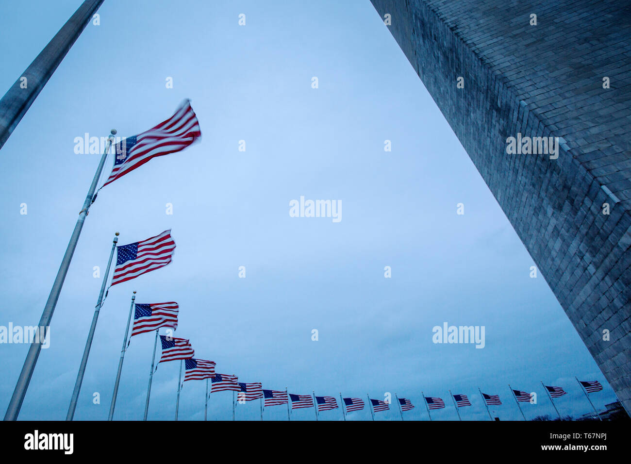 Fifty American flags encircle the Washington Monument on the Mall in Washington DC. Stock Photo