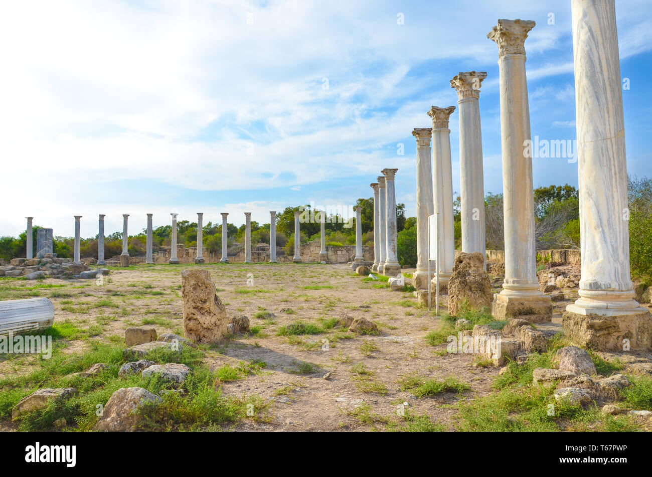 Amazing Salamis Ruins In Northern Cyprus Taken On A Sunny Day With Blue Amazing Salamis Ruins In Northern Cyprus Taken On A Sunny Day With Blue