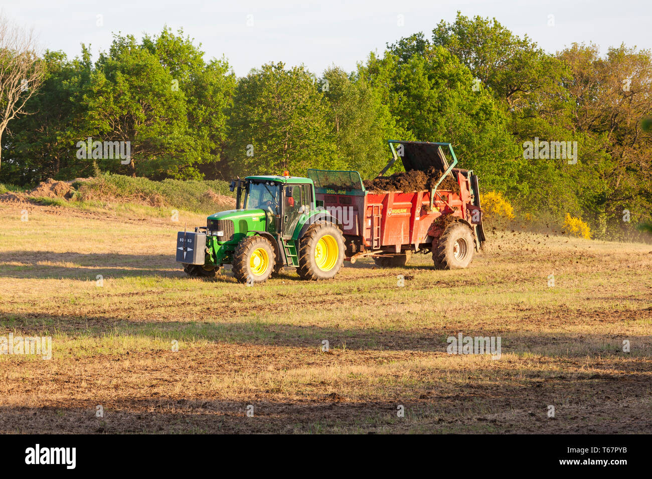Organic Fertilisation of a farm field using a muck spreader to spread