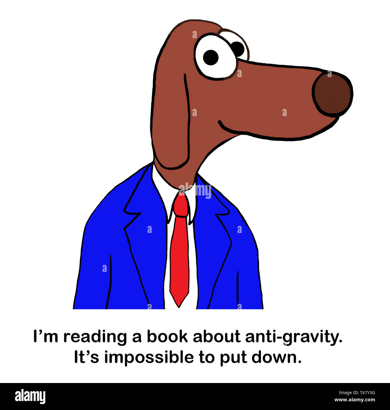 Dog professor cannot put down gravity book Stock Photo