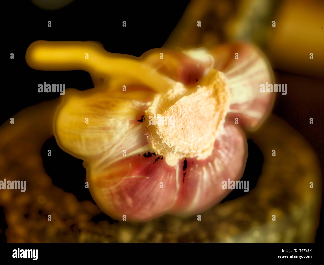 Garlic clove sitting in mortar with pestle food close up photograph Stock Photo