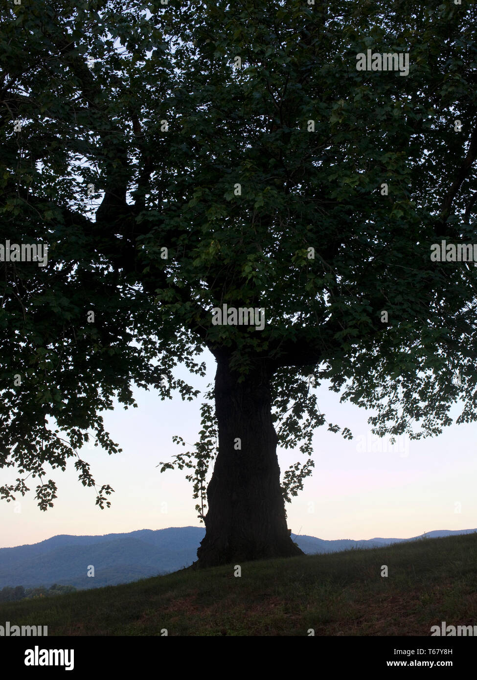 Summer, outer banks, north carolina, virginia Stock Photo Alamy