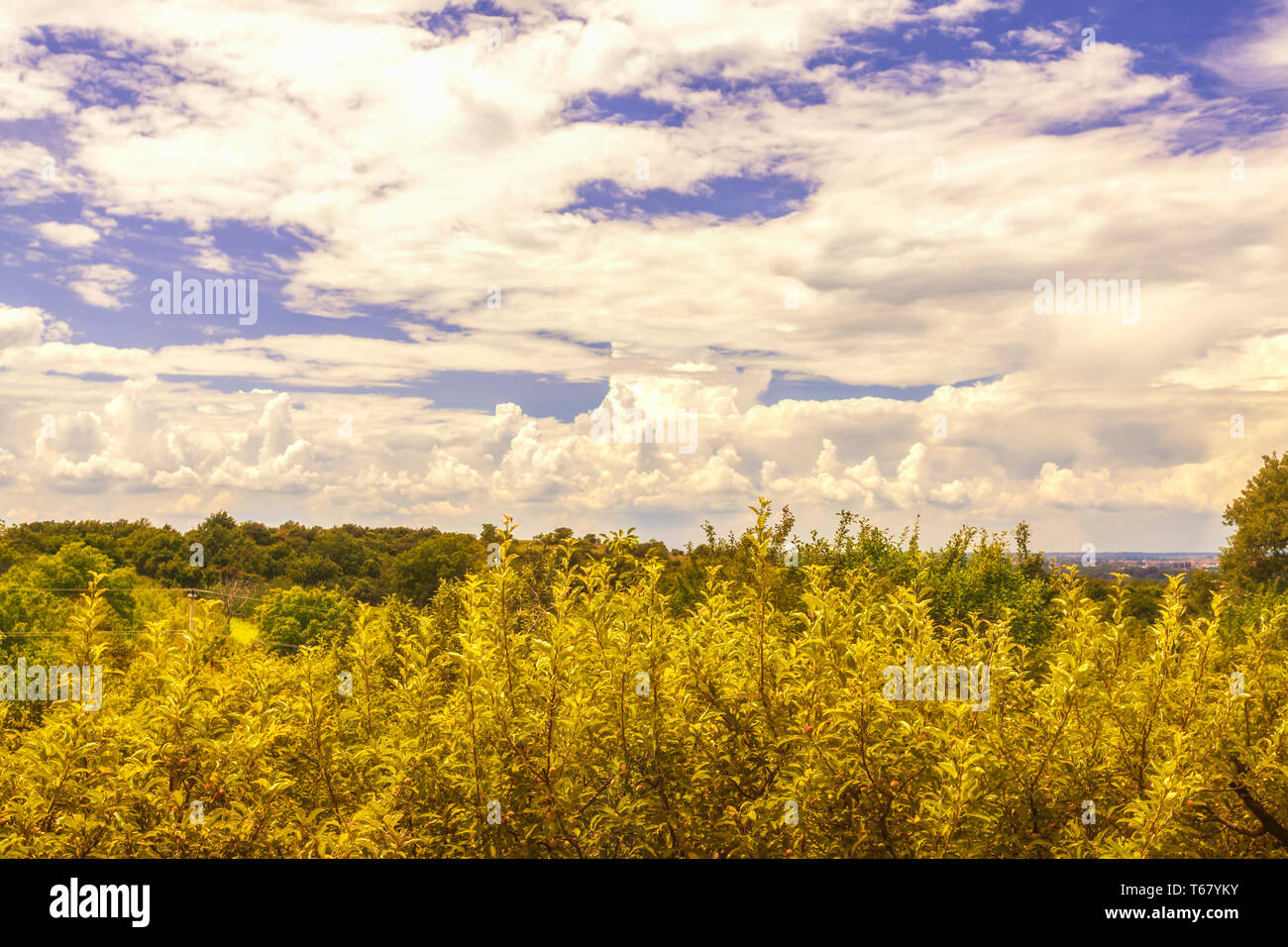 Trees hill sky clouds hi-res stock photography and images - Alamy