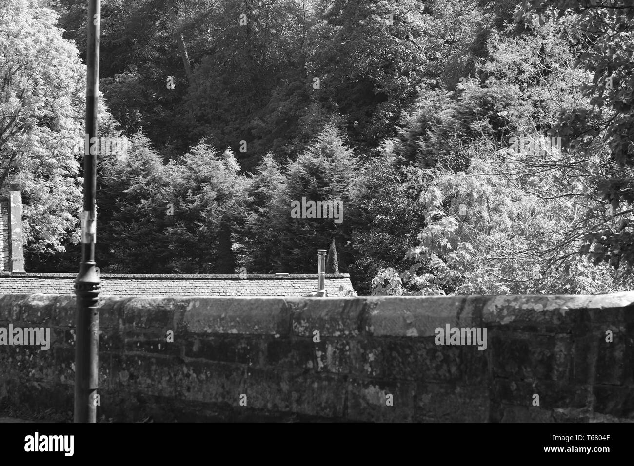 Linn Park, Glasgow Stock Photo Alamy