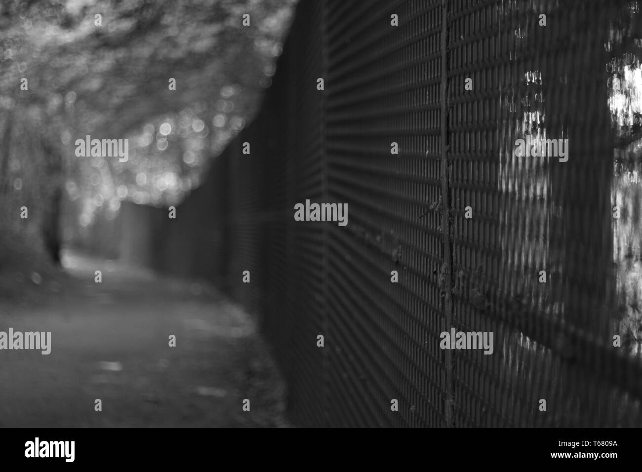 Linn Park, Glasgow Stock Photo Alamy