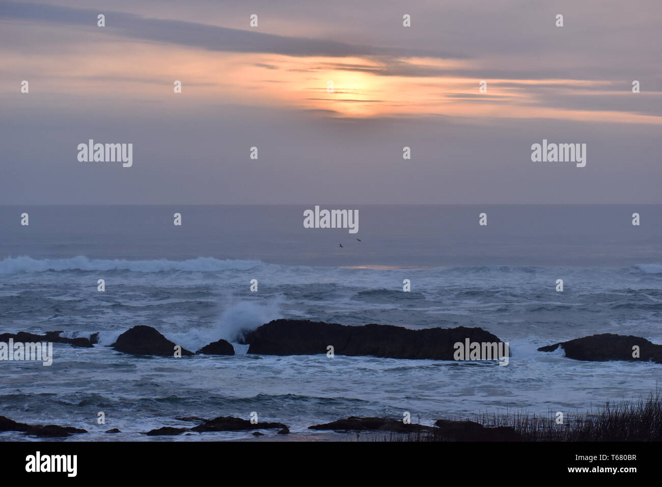 sunset at the Oregon coast Stock Photo - Alamy