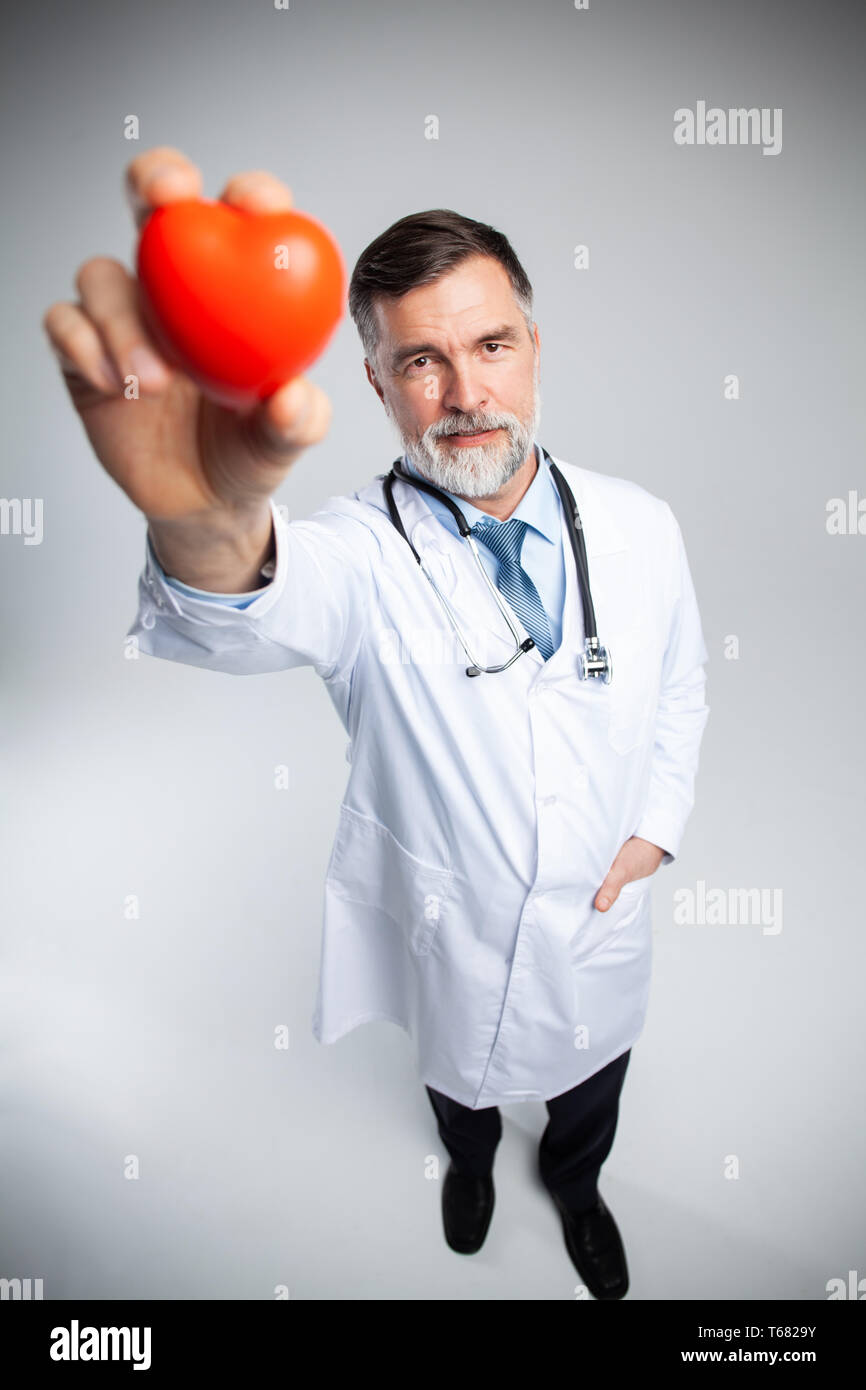 healthcare and medicine concept - mature doctor holding red heart Stock ...