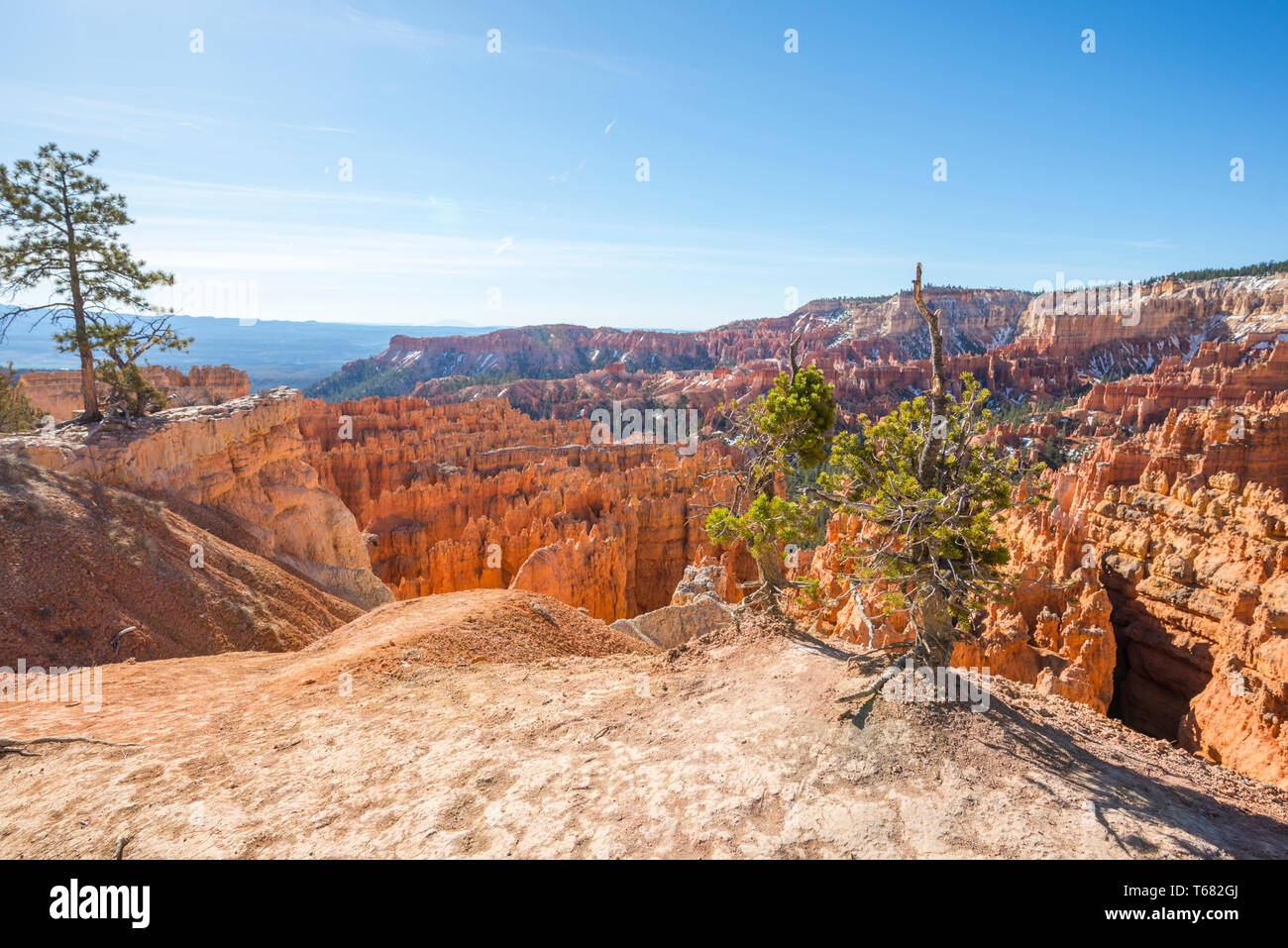 Rock formations at the Bryce Amphitheater viewed from Sunset Point. Bryce Canyon National Park, Utah, USA. Stock Photo