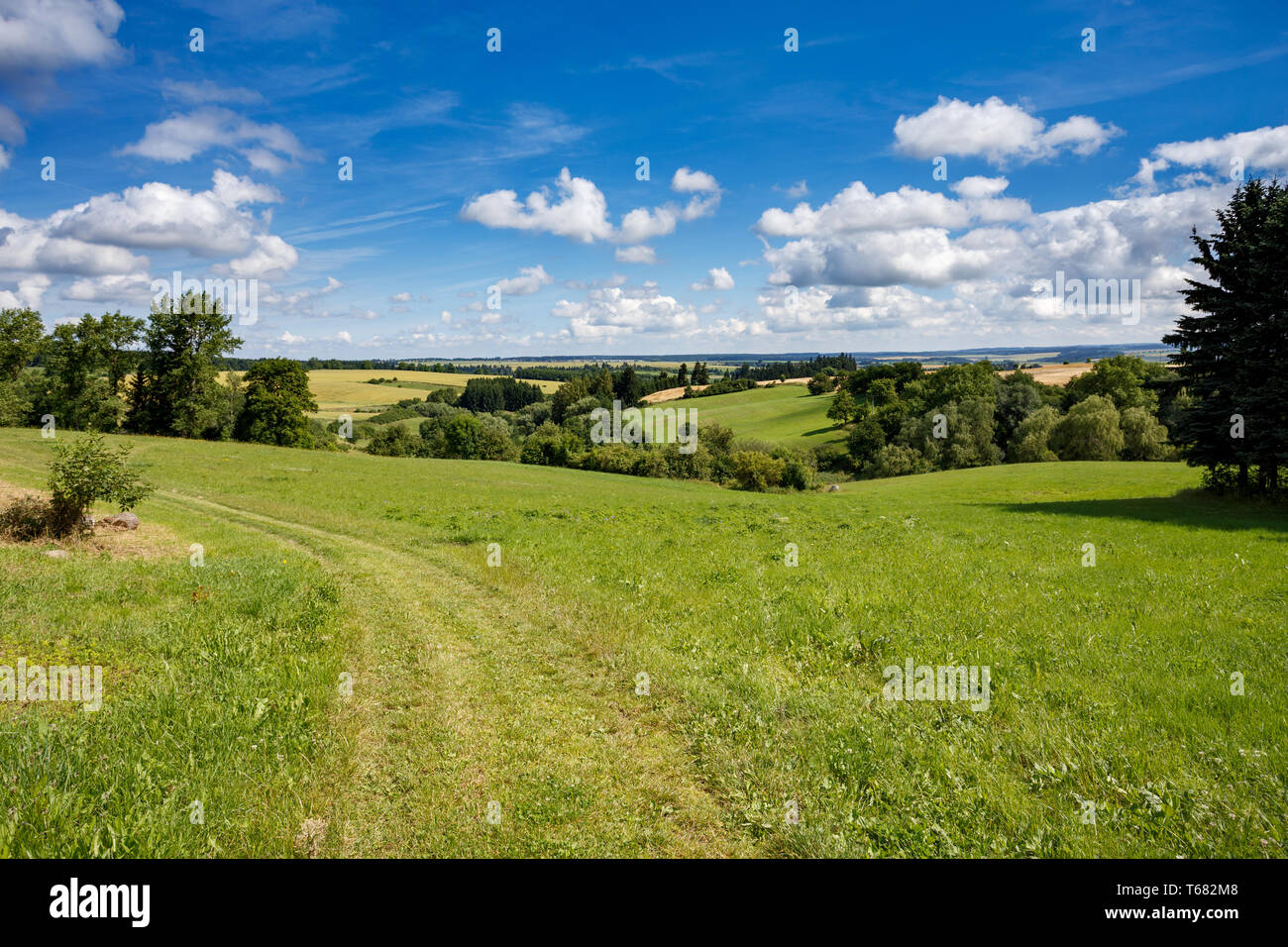 Rural summer landscape Stock Photo - Alamy