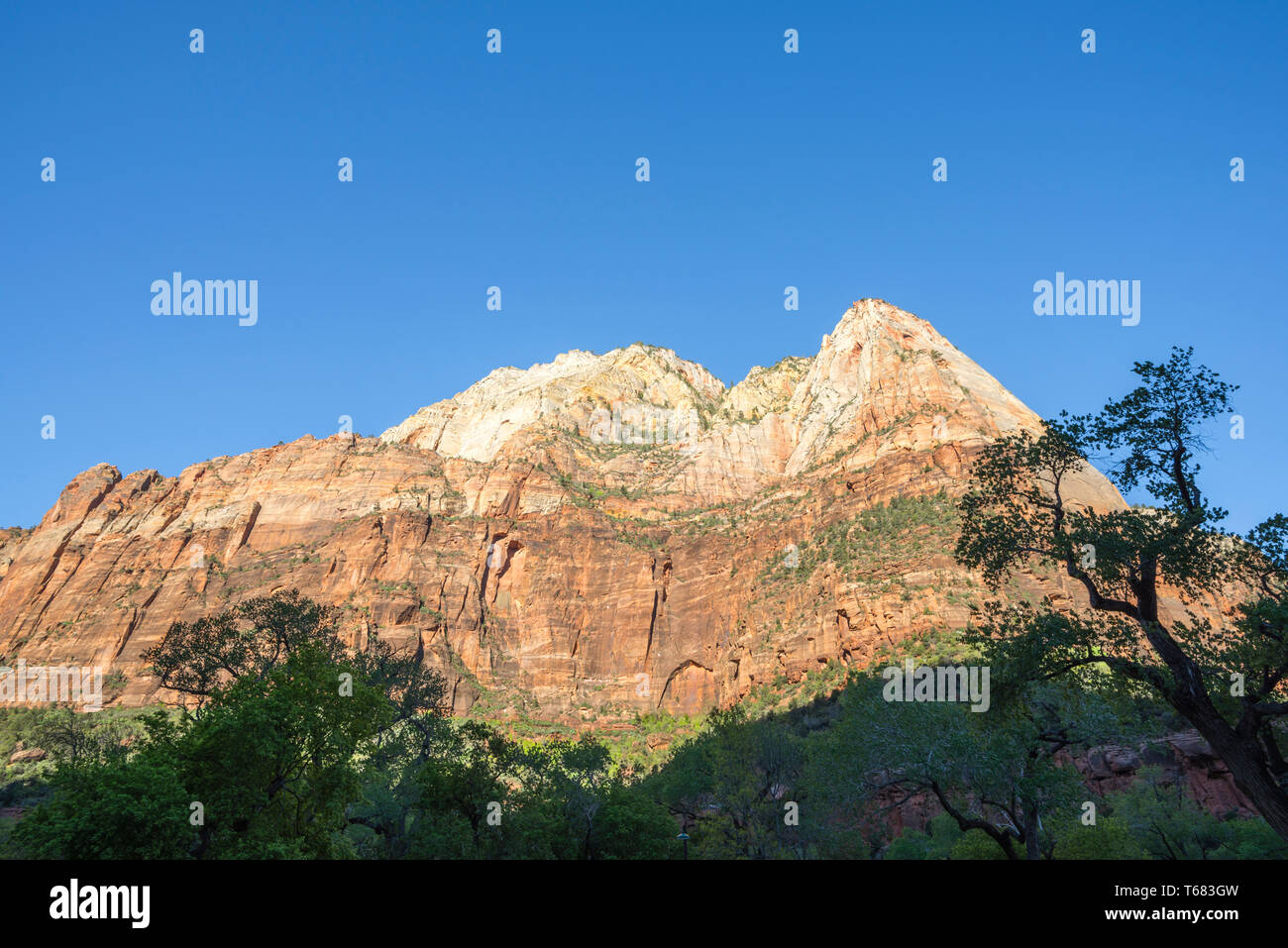 View of rock formations from in front of the Zion Lodge. Zion National Park, Utah, USA. Stock Photo