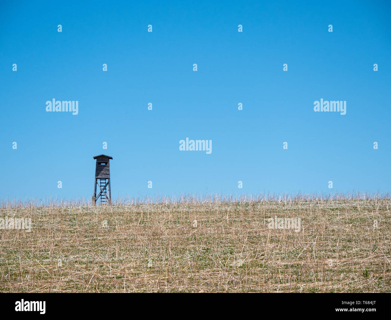 A Hunting Perch or High Seat in a Field with Dry Grass in a Lonely Rural Area in Austria Stock Photo