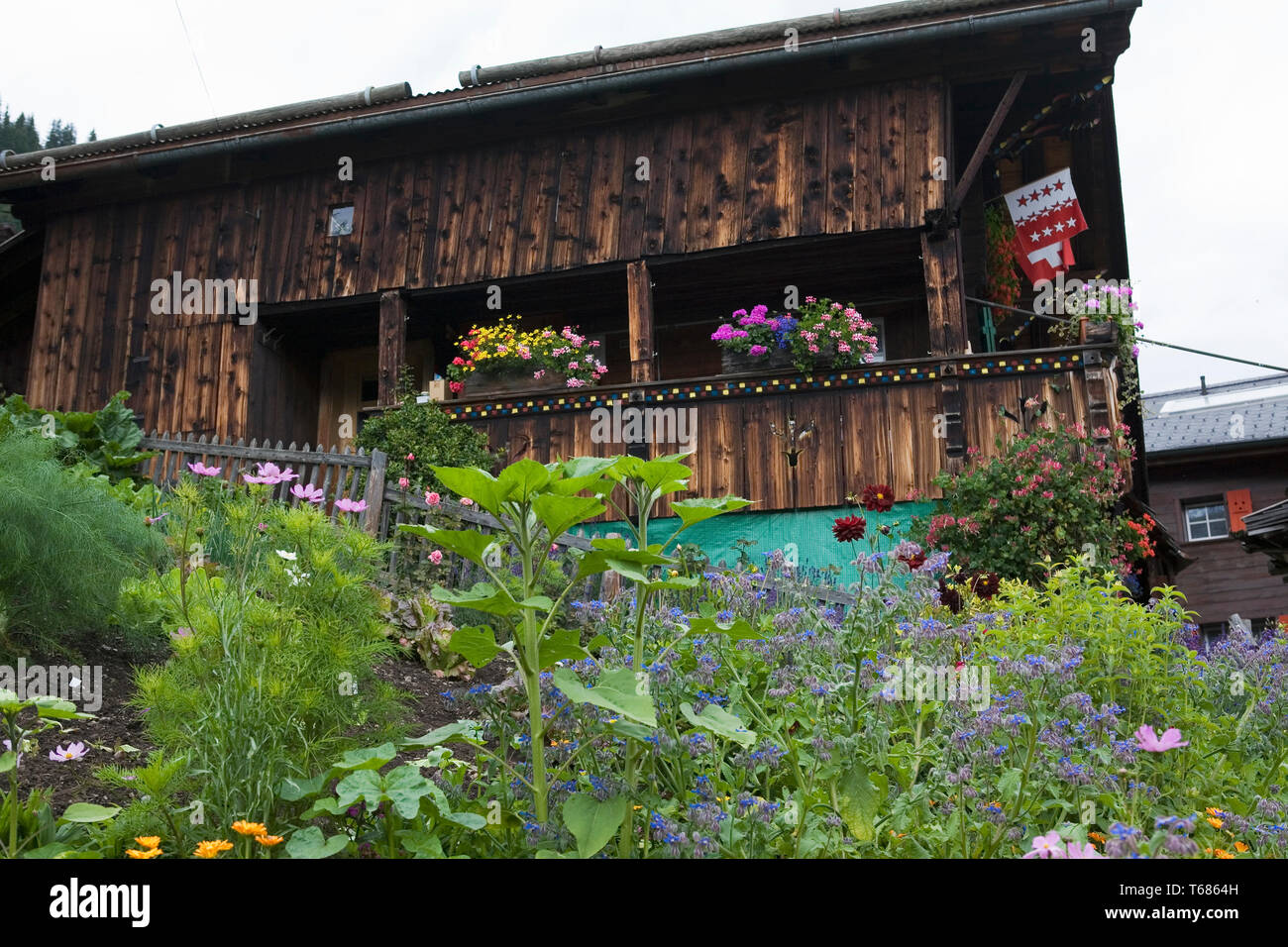 Traditional wooden chalet and flourishing garden, Zun, Mürren, Bernese Oberland, Switzerland Stock Photo