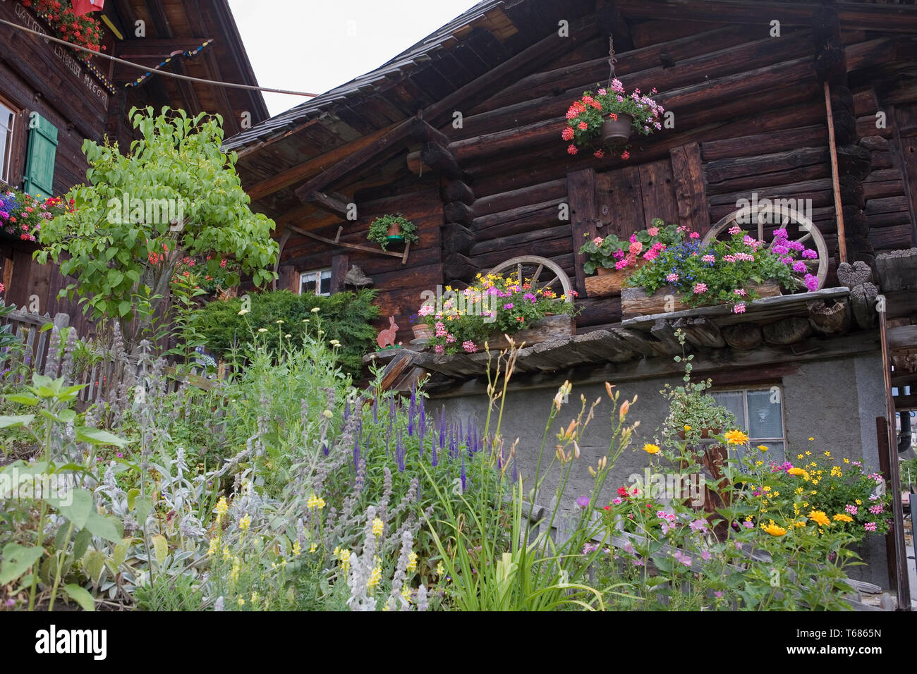 Traditional wooden chalet and flourishing garden, Zun, Mürren, Bernese Oberland, Switzerland Stock Photo
