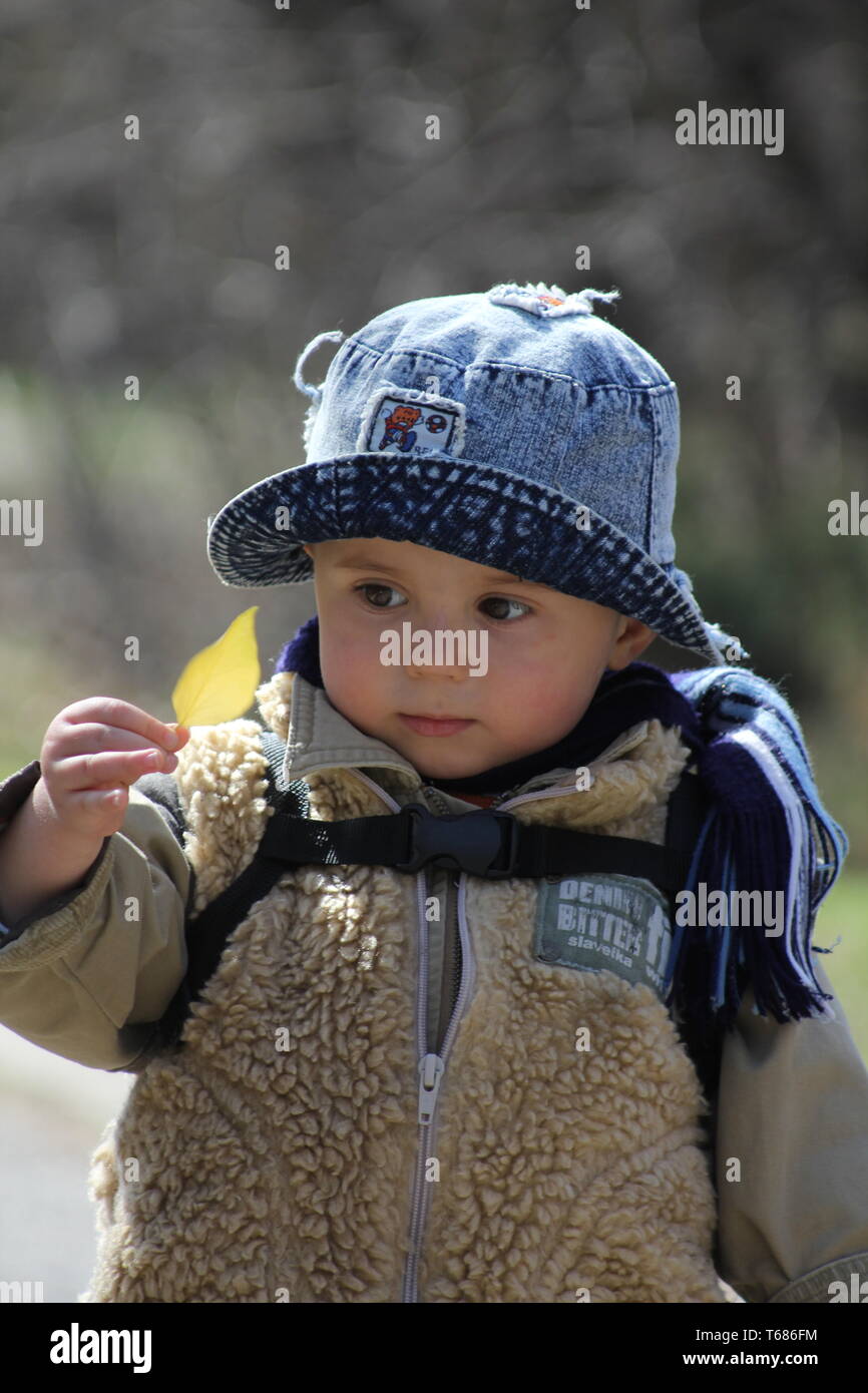 Cute boy looking at a leaf in the park Stock Photo - Alamy